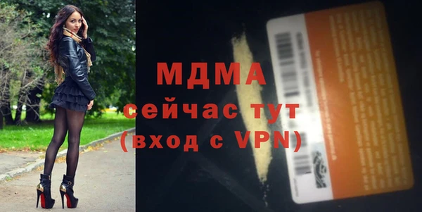 шишки Бородино