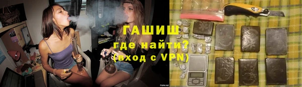 шишки Бородино