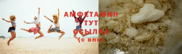 шишки Бородино