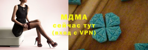шишки Бородино