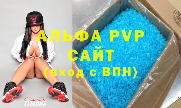 шишки Бородино