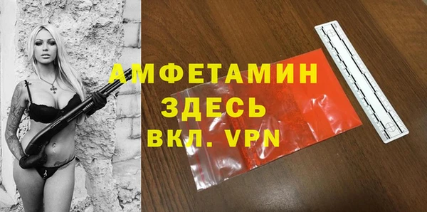 шишки Бородино