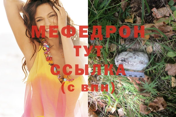 шишки Бородино