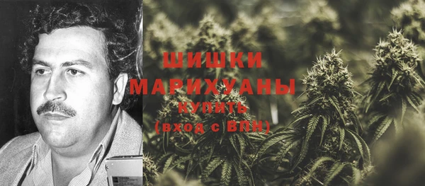 шишки Бородино