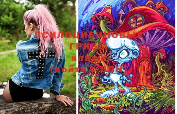 марки lsd Бугульма