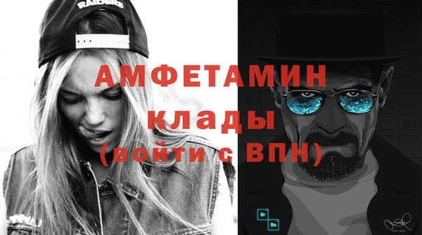 шишки Бородино