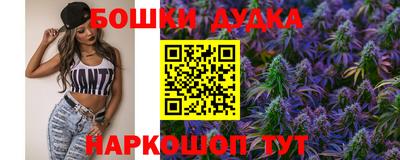 прущие крисы Бийск