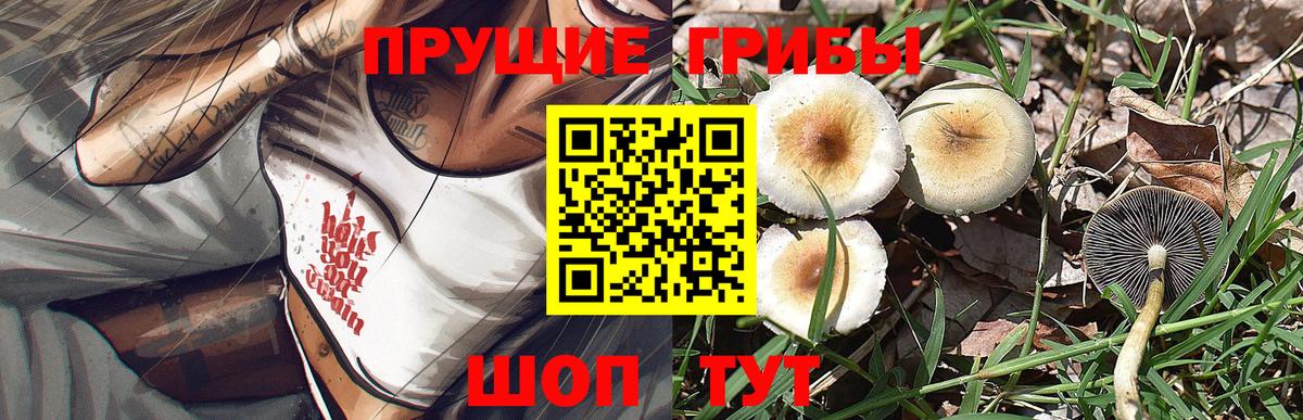 Галлюциногенные грибы прущие грибы Верхний Уфалей