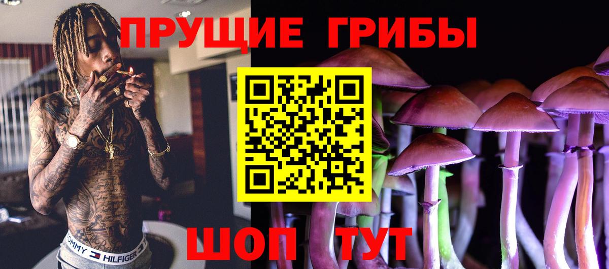 Псилоцибиновые грибы Psilocybine cubensis Верхний Уфалей