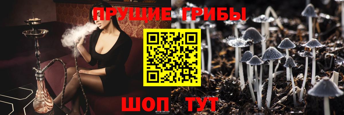 Галлюциногенные грибы ЛСД  Вход с VPN  Верхний Уфалей 