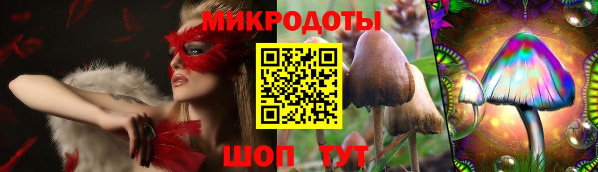 Псилоцибиновые грибы Psilocybine cubensis  где найти   Верхний Уфалей  Галлюциногенные грибы ЛСД 